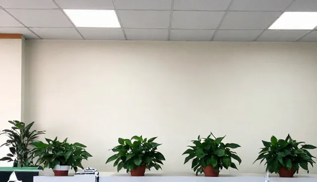 维修服务支持的适用条件及空间选择建议